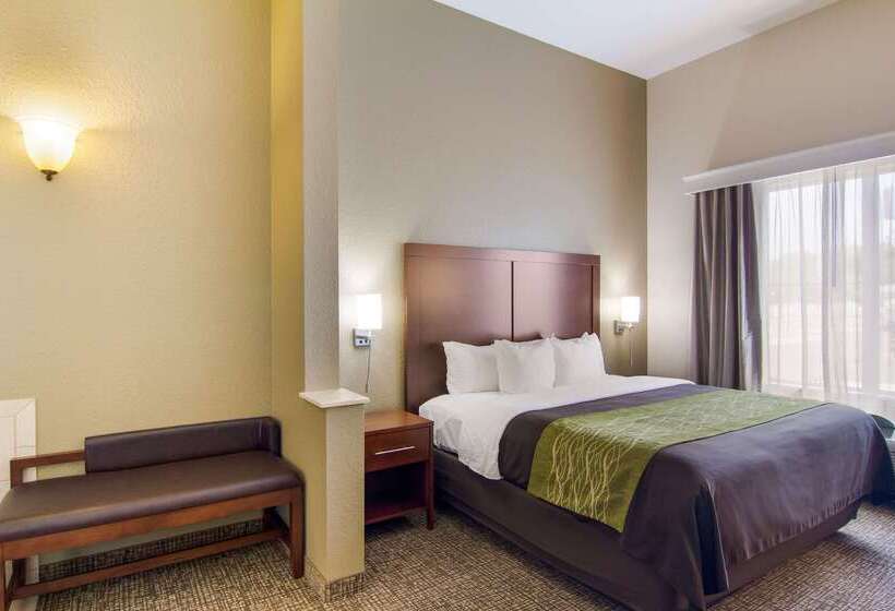 فندق Comfort Inn Blackshear Hwy 84