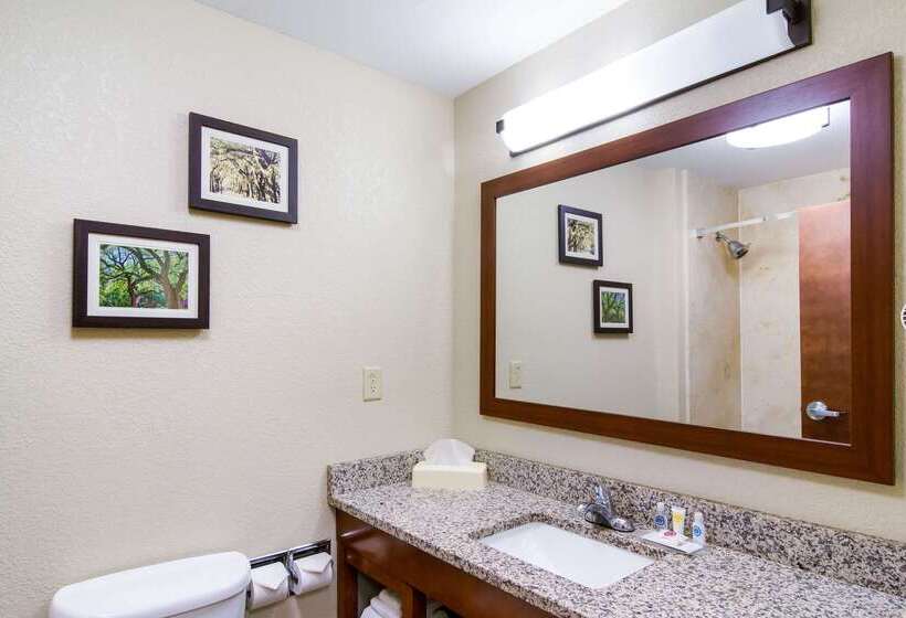 فندق Comfort Inn Blackshear Hwy 84