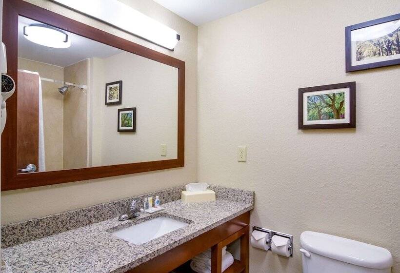 فندق Comfort Inn Blackshear Hwy 84