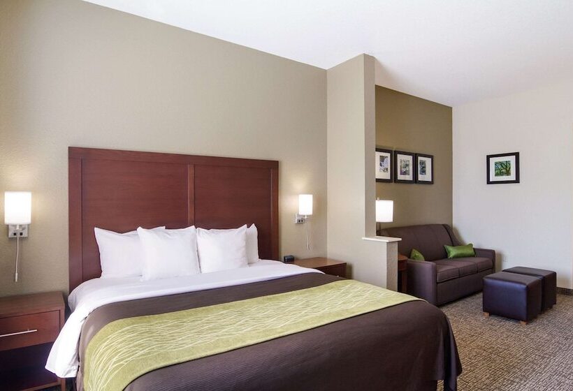 فندق Comfort Inn Blackshear Hwy 84