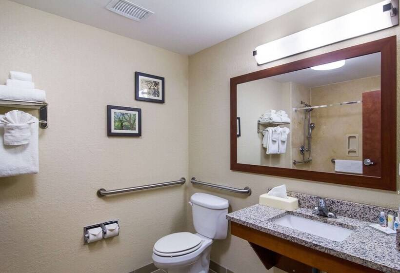 فندق Comfort Inn Blackshear Hwy 84