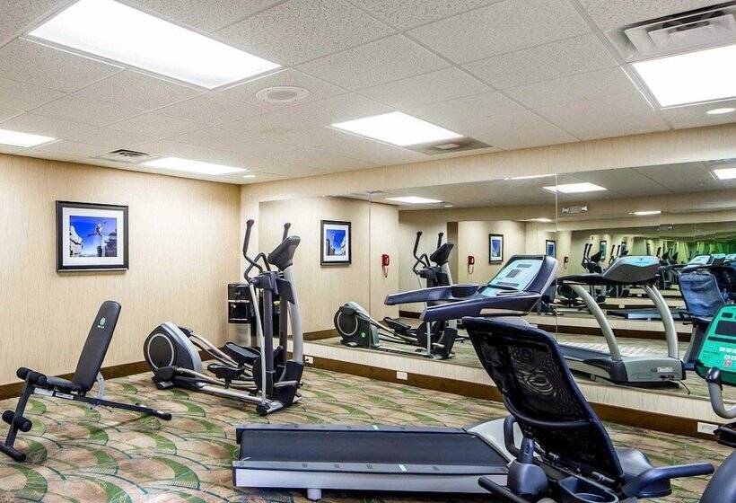 فندق Comfort Inn & Suites