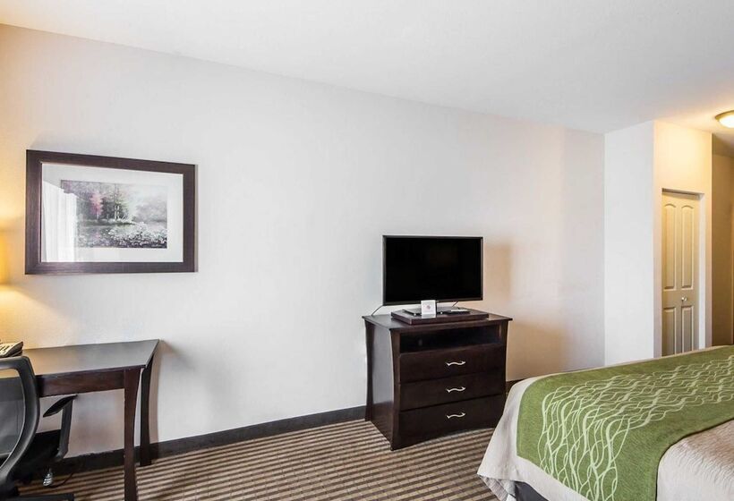 فندق Comfort Inn & Suites