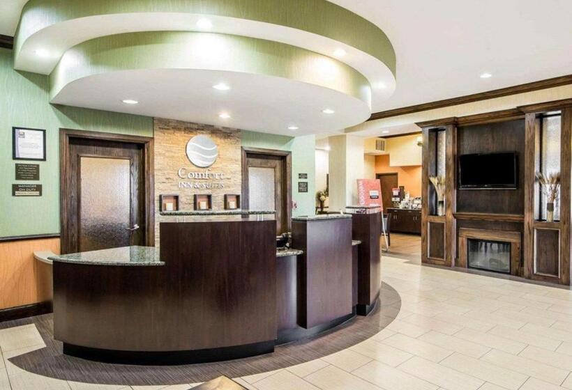 فندق Comfort Inn & Suites