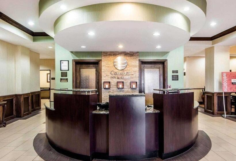 فندق Comfort Inn & Suites