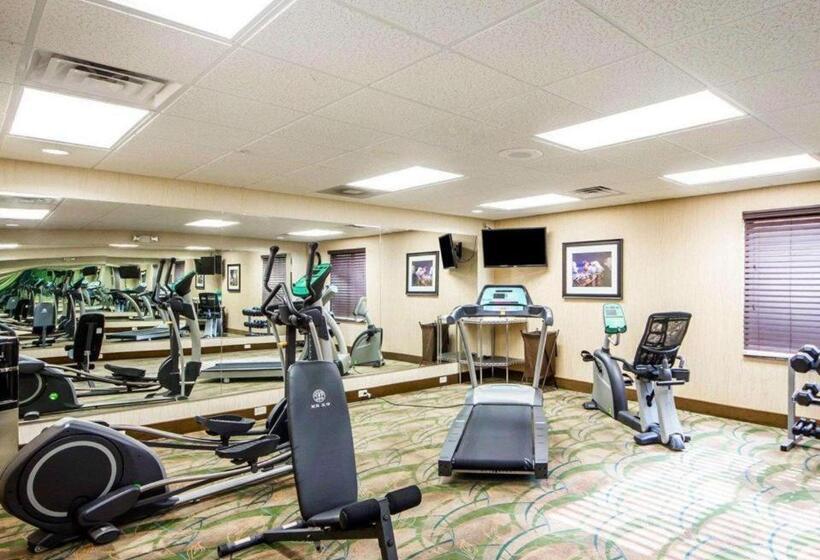 فندق Comfort Inn & Suites