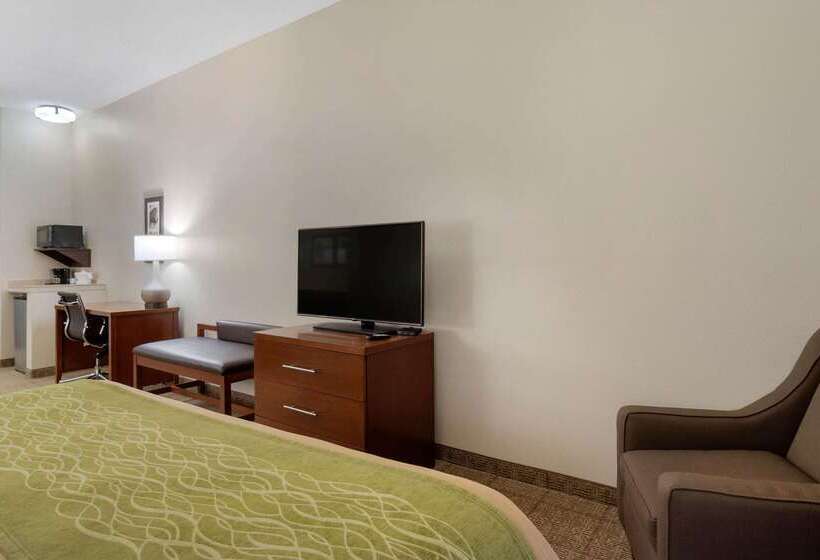 酒店 Comfort Inn & Suites Port Arthurport Neches