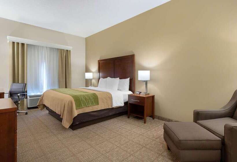 酒店 Comfort Inn & Suites Port Arthurport Neches