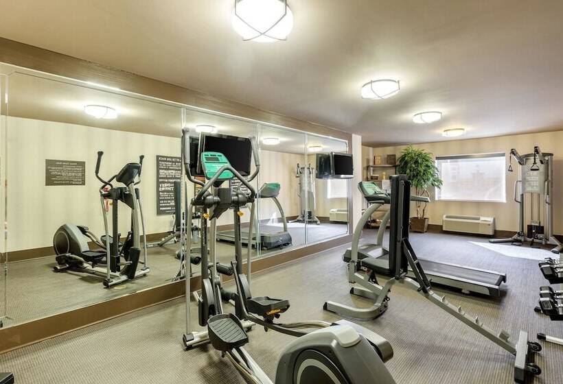 فندق Comfort Inn