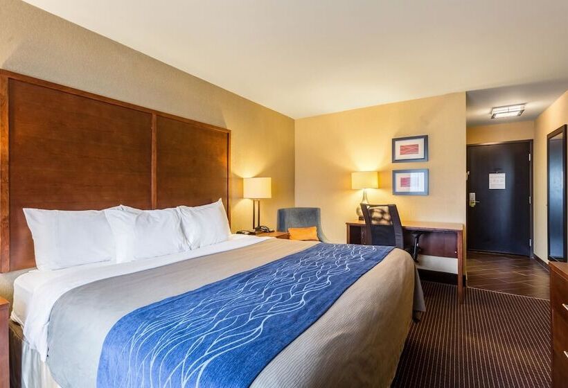 فندق Comfort Inn