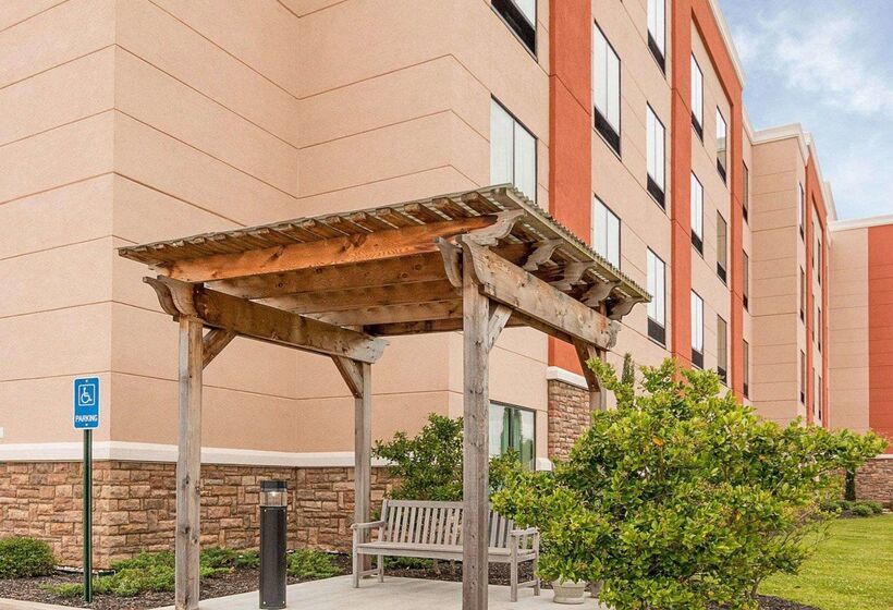 هتل Comfort Suites Bossier City  Shreveport East