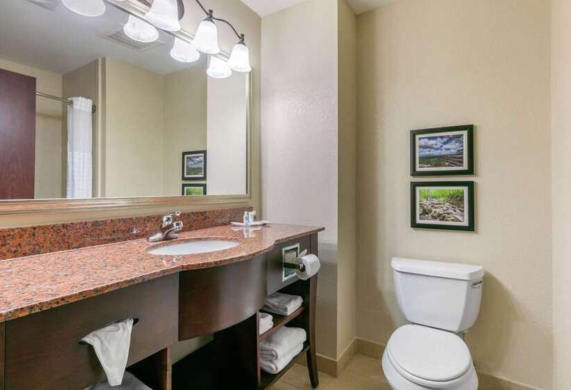 Отель Comfort Suites