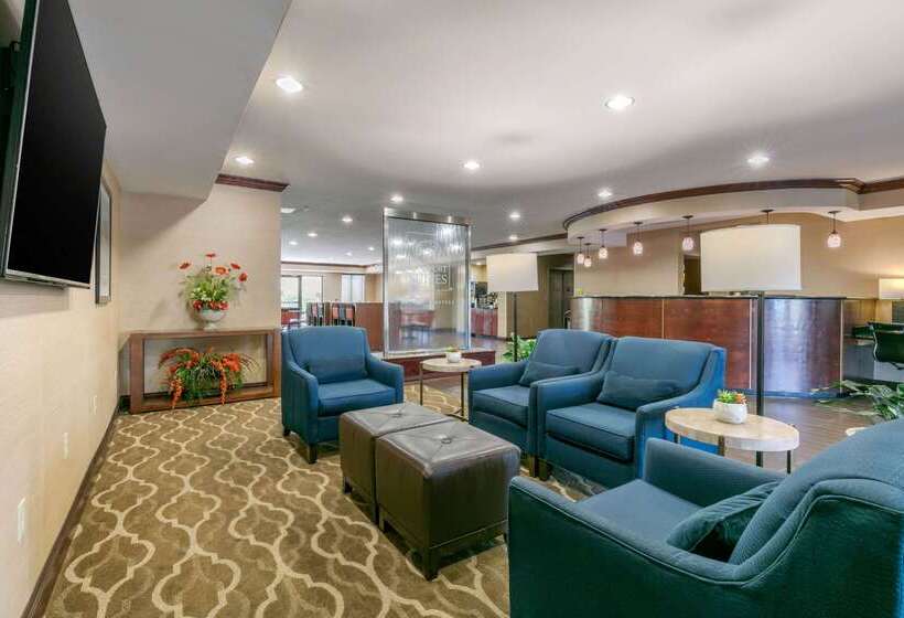 Отель Comfort Suites