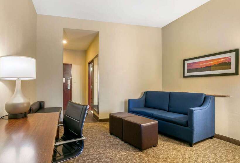 Отель Comfort Suites