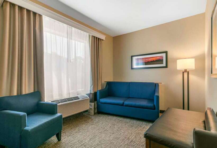 Отель Comfort Suites