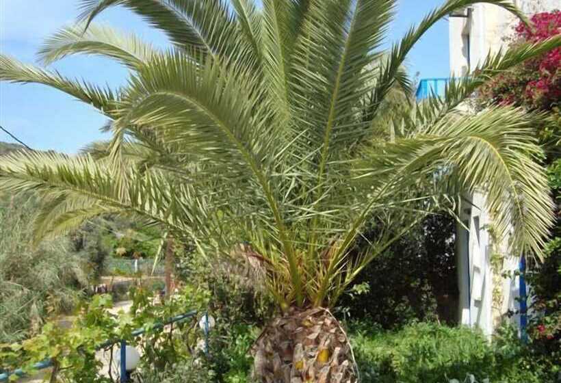 Creta Sun Hotel Studios