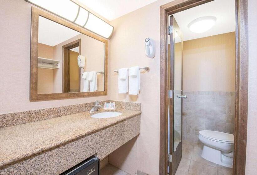 هتل Days Inn By Wyndham Duluth Lakewalk