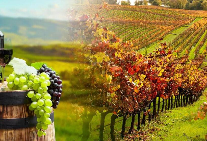 فندق Depot Inn & Suites