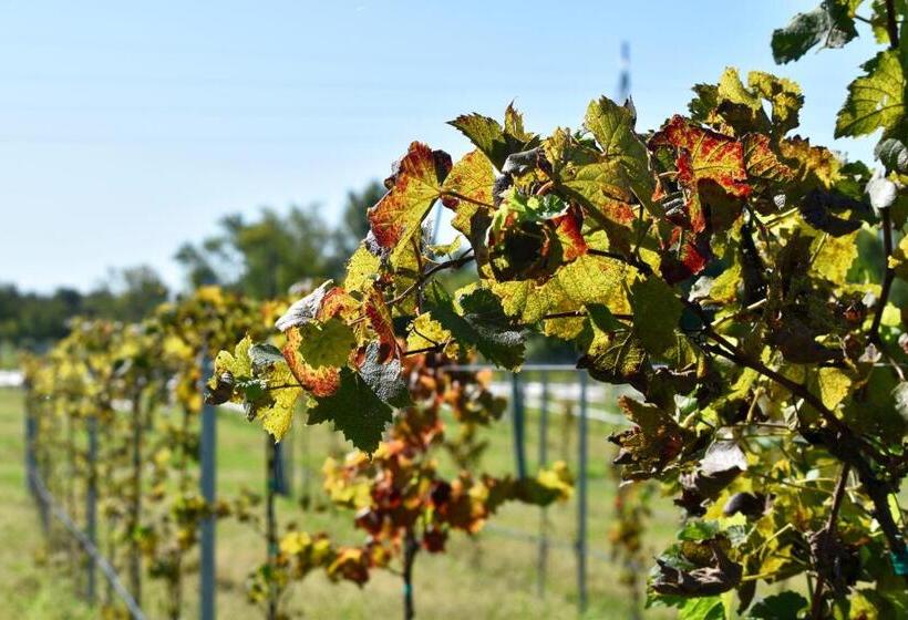 فندق Depot Inn & Suites