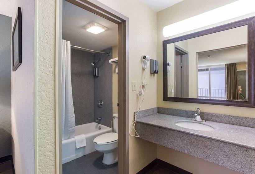 فندق Econo Lodge Gallatin   Metro Nashville