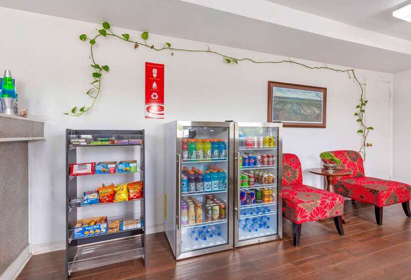 בית מלון כפרי Econo Lodge Woodstock  Shenandoah Valley I 81