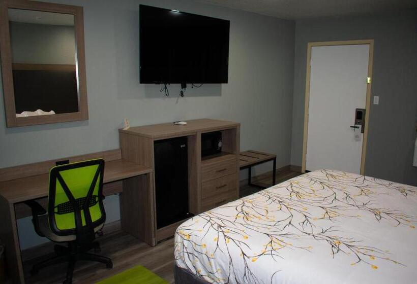 酒店 Fort Davis Inn & Rv Park