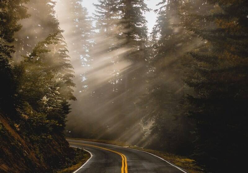 فندق Gateway Inn & Cabins