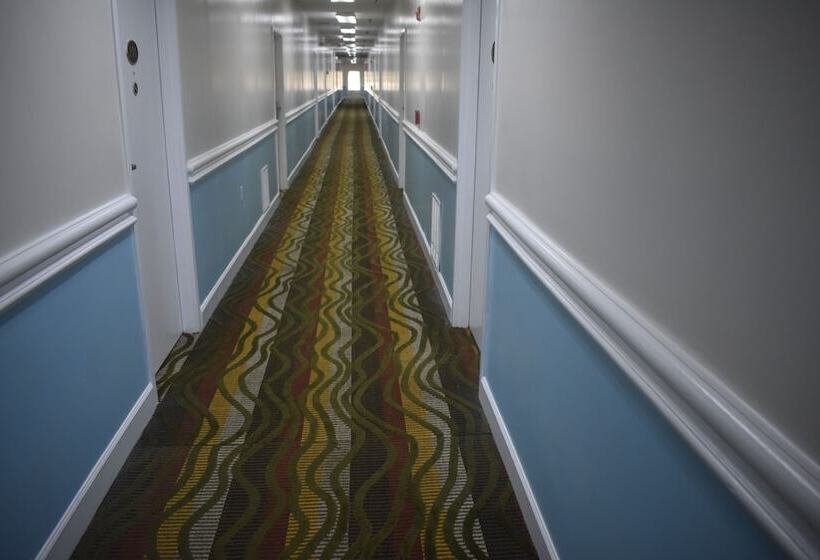 酒店 Guest Cottages & Suites