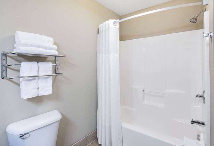 호텔 Hawthorn Suites By Wyndham Williston