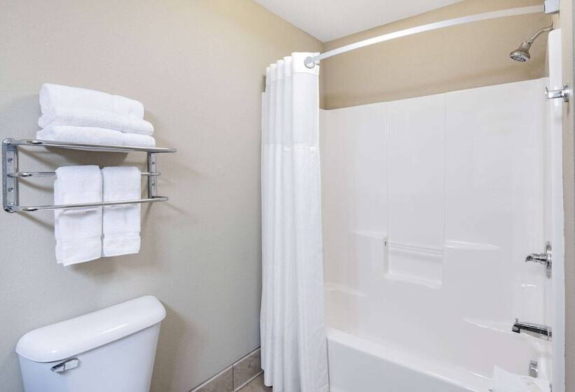 호텔 Hawthorn Suites By Wyndham Williston