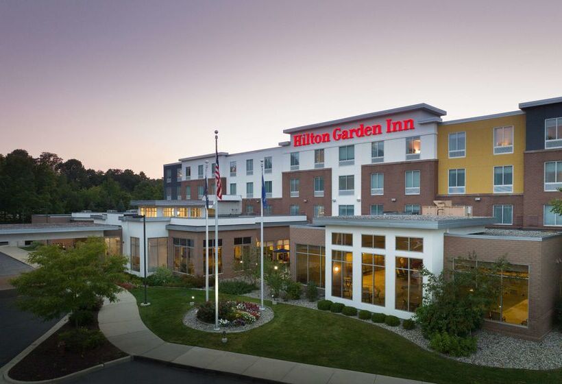 ホテル Hilton Garden Inn Ann Arbor