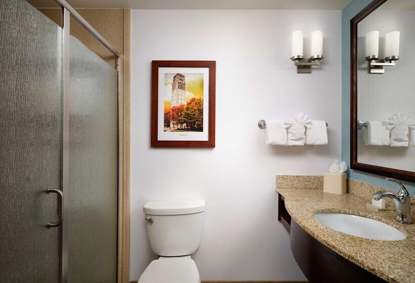ホテル Hilton Garden Inn Ann Arbor