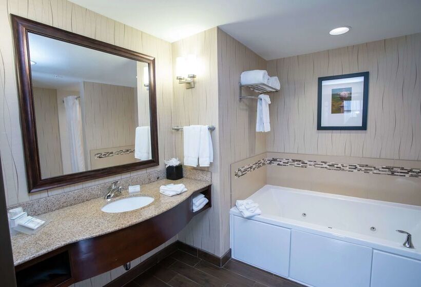 فندق Hilton Garden Inn Dayton South Austin Landing