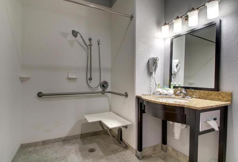 فندق Holiday Inn Express Natchez South West, An Ihg