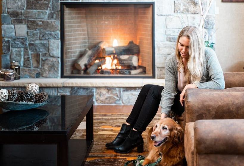 호텔 Holiday Inn Resort Deadwood Mountain Grand, An Ihg