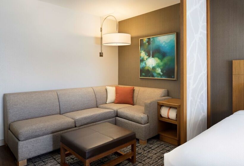 Отель Hyatt Place Austin Downtown