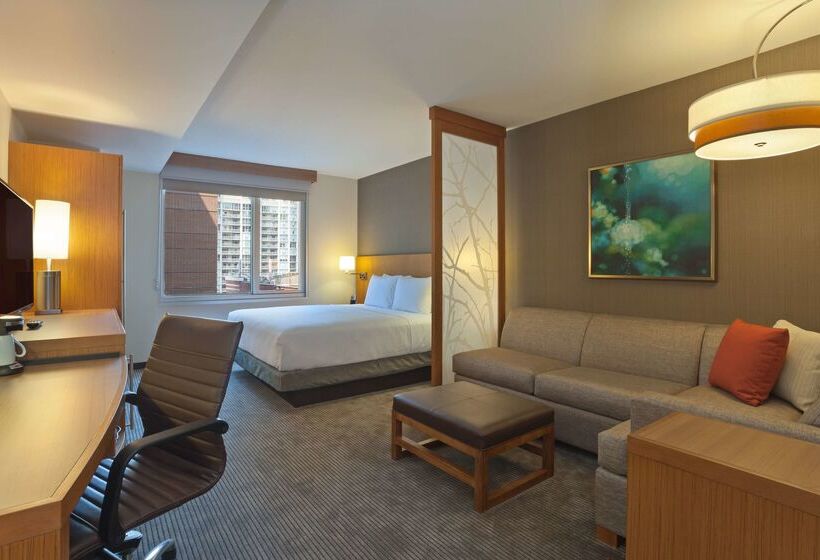 Отель Hyatt Place Chicago River North