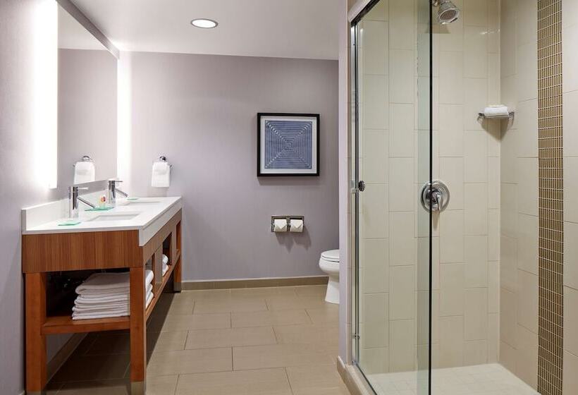 فندق Hyatt Place Los Angeles / Lax / El Segundo