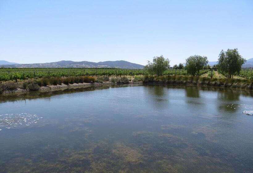 酒店 Ponte Vineyard Inn