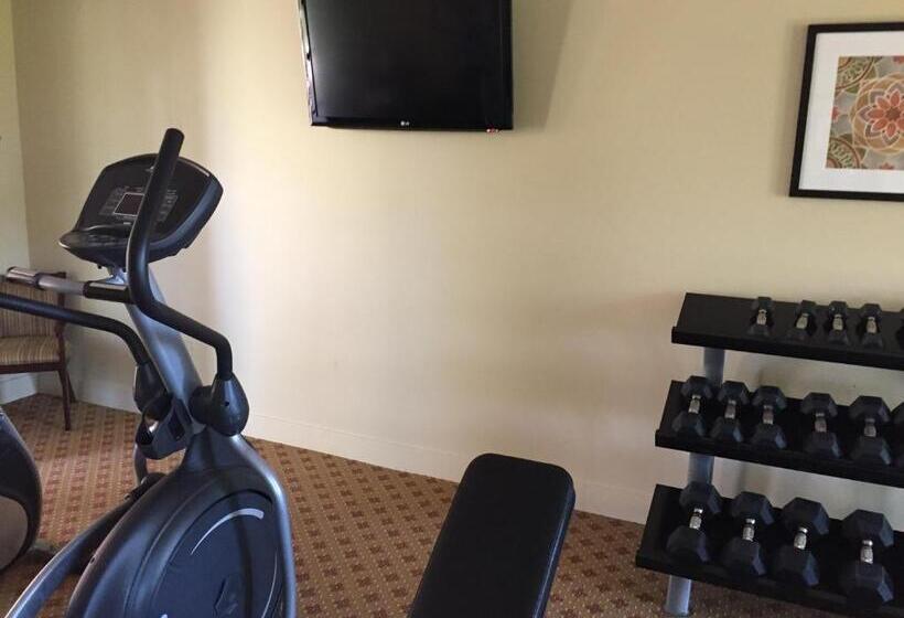 בית מלון כפרי Ponte Vineyard Inn