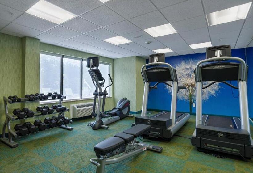 בית מלון כפרי Springhill Suites St Petersburg Clearwater