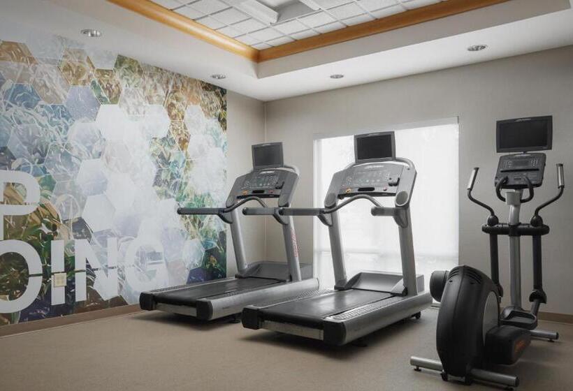 酒店 Springhill Suites Knoxville At Turkey Creek