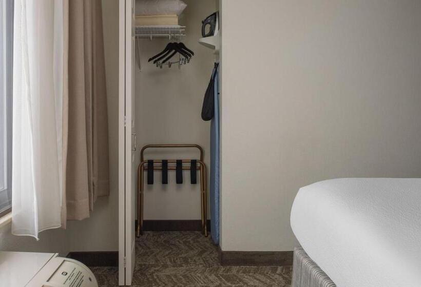 酒店 Springhill Suites Knoxville At Turkey Creek