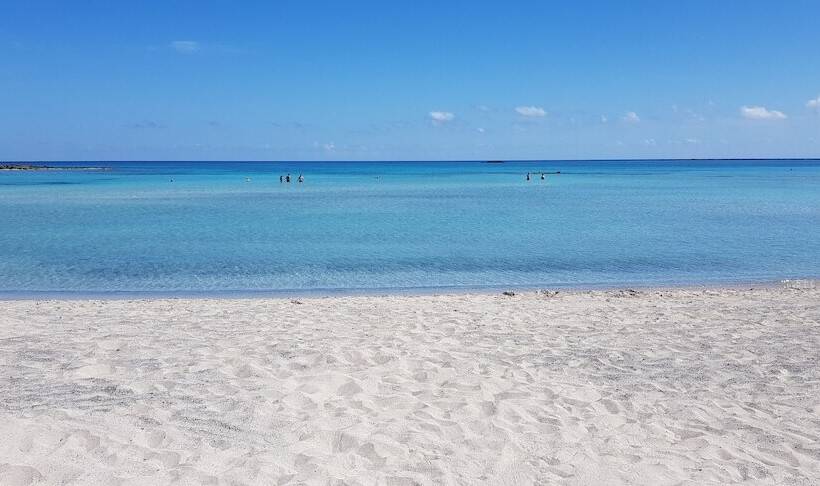 בית מלון כפרי Sunny Bay