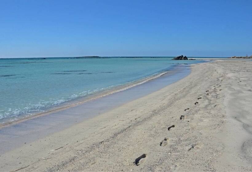 בית מלון כפרי Sunny Bay