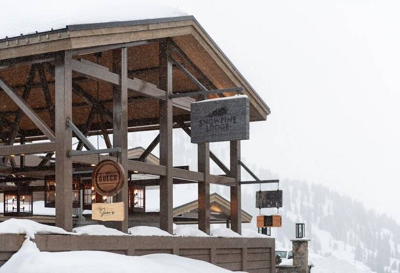 호텔 The Snowpine Lodge