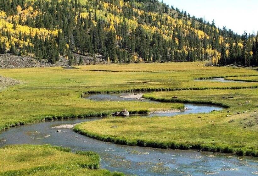 호텔 The Snuggle Inn