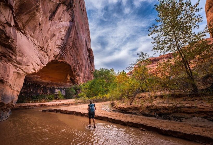 호텔 The Snuggle Inn