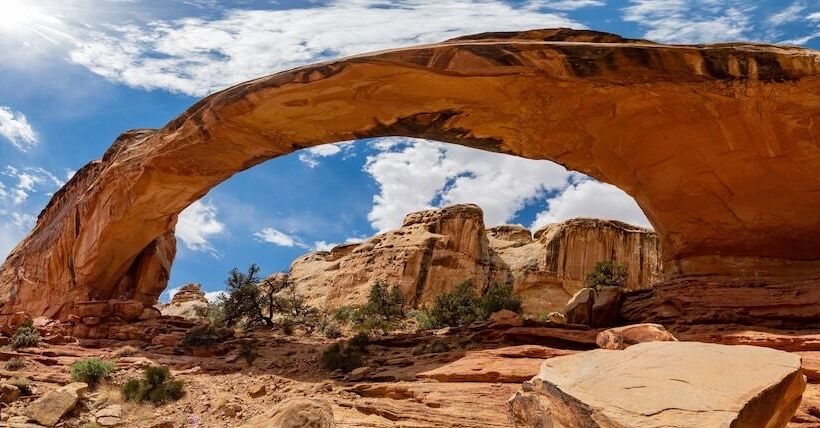 호텔 The Snuggle Inn