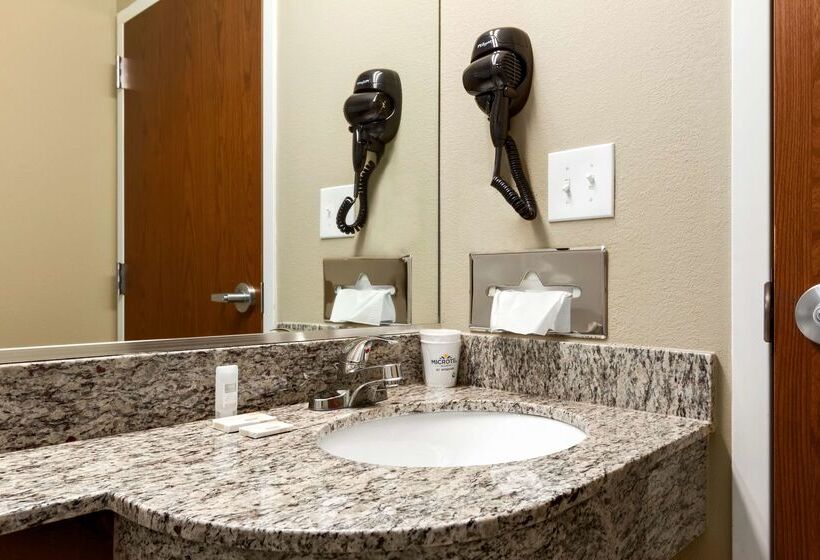 Microtel Inn & Suites By Wyndham